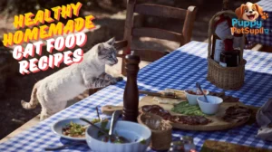 healthy homemade cat food recipes