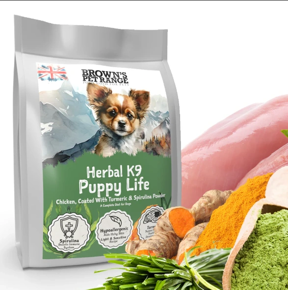 Comprehensive Dog Product Review Upgrade Your Pup's Life