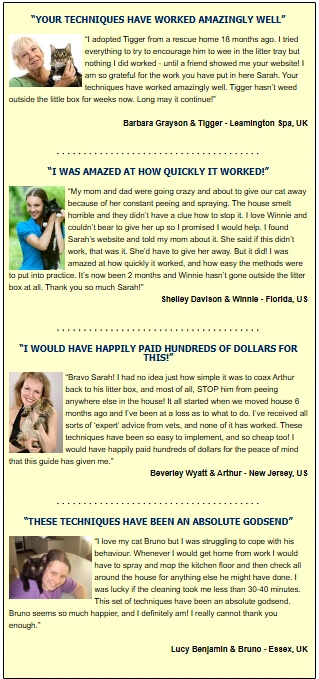 Cat Spraying No More - Brand New with a 16.2% Conversion Rate!